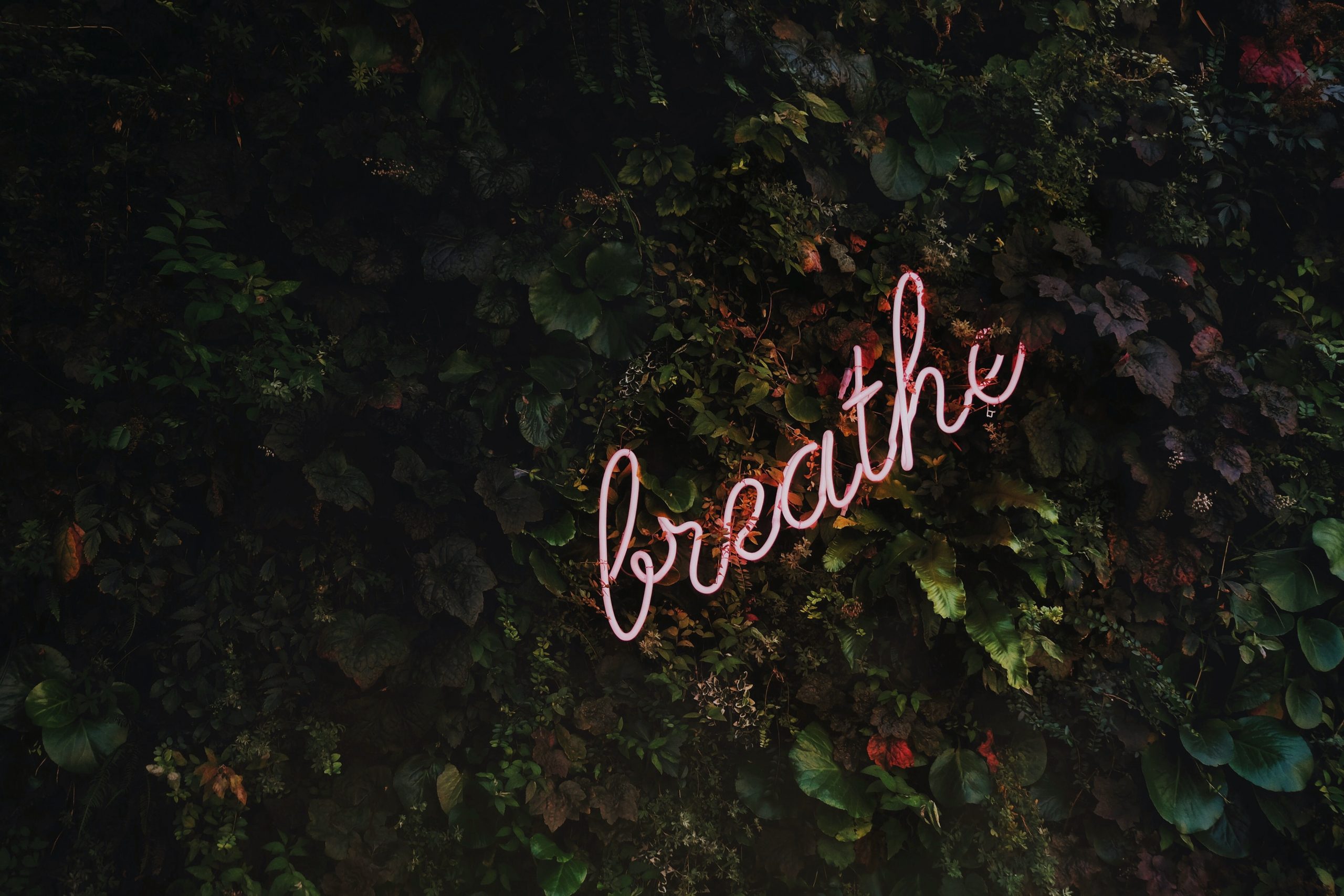 mental-health-breathe
